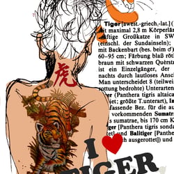 Buchgestaltung (Text und Illustration) zu Jorges Luis Borges-Blaue Tiger