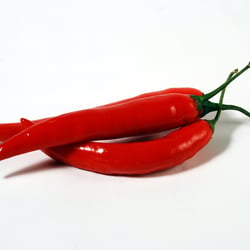 Chilli 3