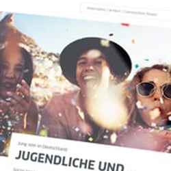 Einsatz auf der Website