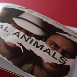 Broschüre für den Film „Nocturnal Animals“ mit Naturpapier und UV-Lack Veredelung