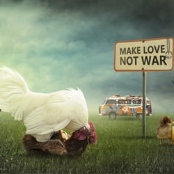 Make love, not war