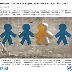 Inclusion