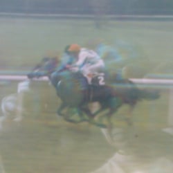 Galopp