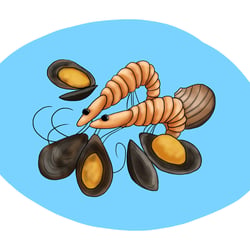 sea food illustration