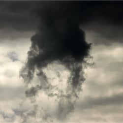 wie eine Qualle