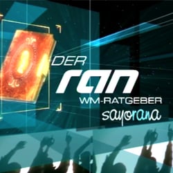ran WM Ratgeber