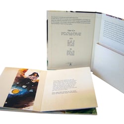 Leporello mit Schuber zu Brüder Grimm-Der Froschkönig