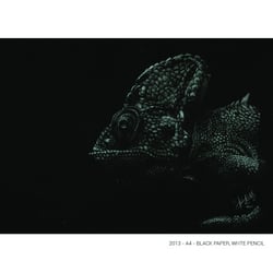 Portrait of a Chameleon- Black paper A4 / White color pencil