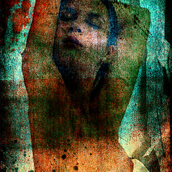 Torso 0374