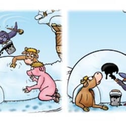 Kralle und Freunde: Iglu