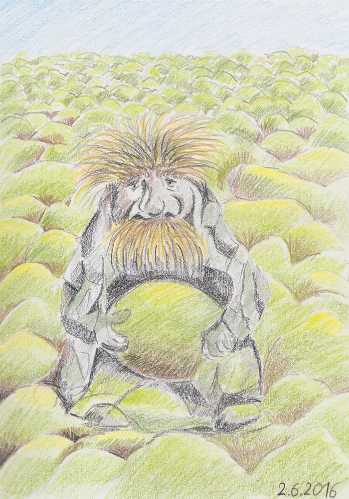 Troll in Island