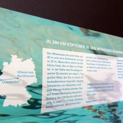Detailansicht Typografie Flyer