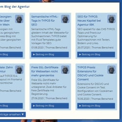 Die neuesten Blogbeiträge als Teaser in jeder Seite