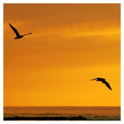 set sunset