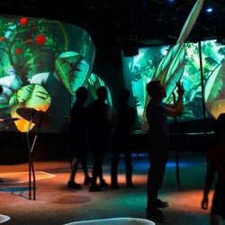 Changi Singapur Garden of Harmony Video installation