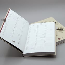 Bienenkalender 2023