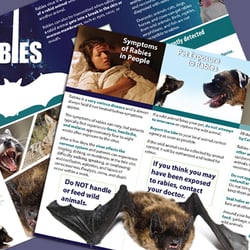 CDPH Brochure