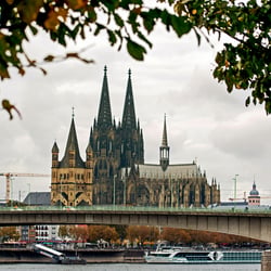 Blick auf den Dom in Köln