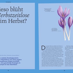„Herbstzeitlose“ (Wohllebens Welt)