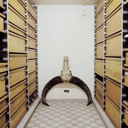 Museale Unterwelt-091