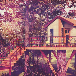 I build a home