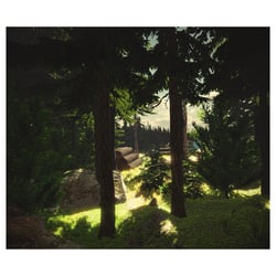 Virtual Forest | VR experience