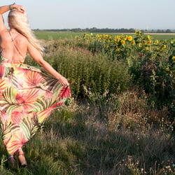 Summer Breeze