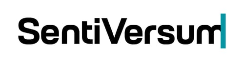 SentiVersum UG (haftungsbeschränkt)