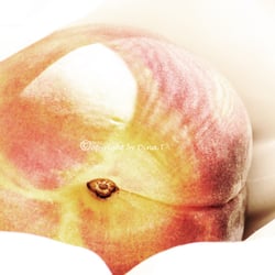Food 23.08.14