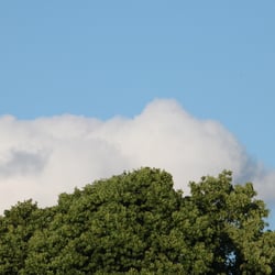 Natur 2012 WOLKEN