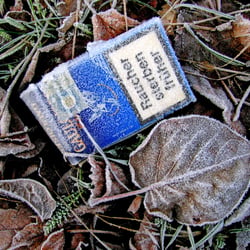 Frost 2