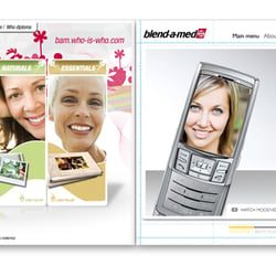zinario massmann webdesign blendamed flash microsite