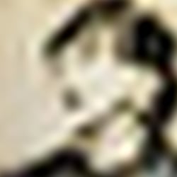streetFcopy