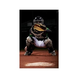 Baseball – Vienna Wanderers