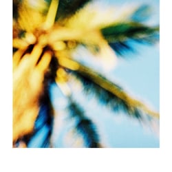 Katrin Bahlmann Photography FineArts 11