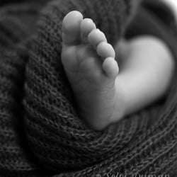 Babyfotografie