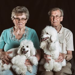 Dogs