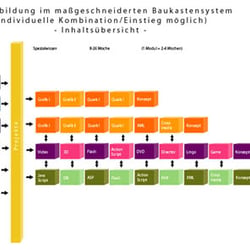 Infografik