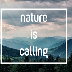 nature-3616194 1920