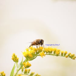 Nature – 2014 Foto Übungen