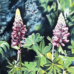 Lupinen, Öl a. Lw., 60×50 cm, 2005