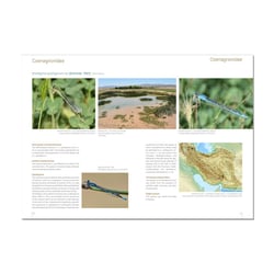 Buch Odonata Persica – Libellen des Iran