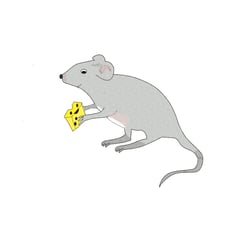 Maus, Bleistiftzeichnung, in Photoshop bemalt