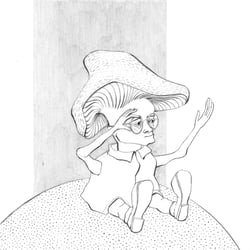pilz