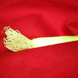 Food Photography 2012 Lauchzwiebel 04