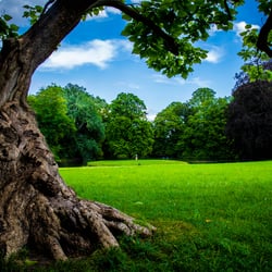 Veträumt im Park