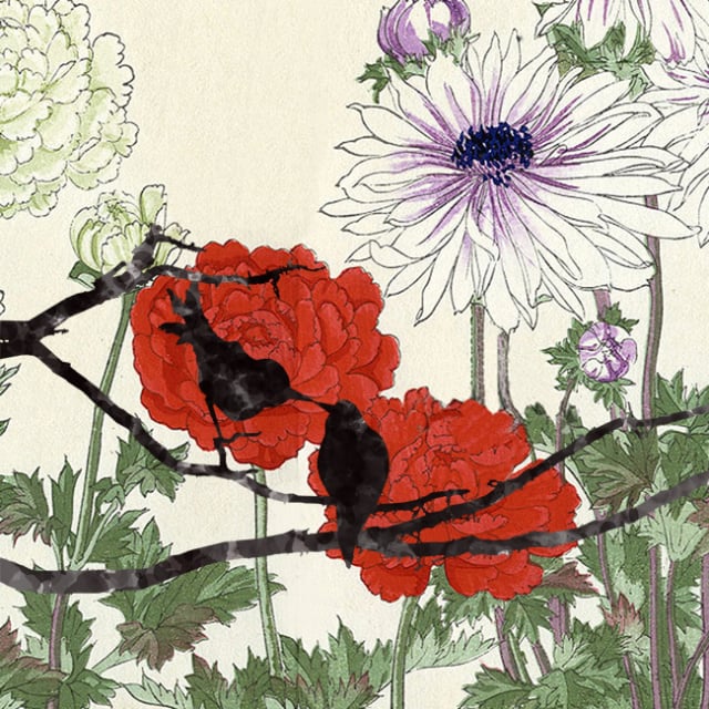 Illustration