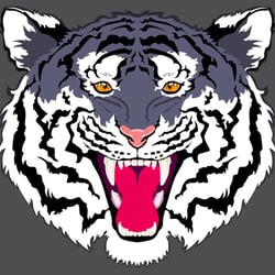 The original graphic.