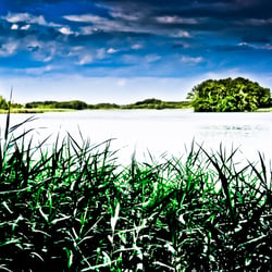 Krakower See