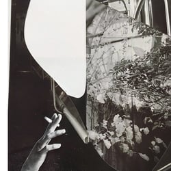 book of anxiety & wonder / paper collages